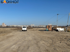 Реально весенняя погода ждёт воронежцев в начале рабочей недели