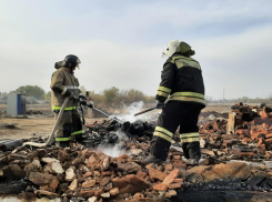 Площадь пожаров выросла до 350 гектаров в Воронежской области