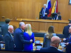 Теплыми объятьями завершилось заседание Воронежской областной Думы