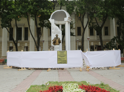 В центре Воронежа начали реставрировать памятник Александру Сергеевичу Пушкину