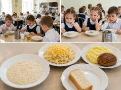 Школьное питание в Воронеже: есть можно, но не хочется
