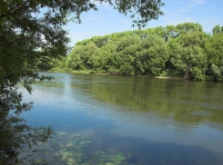 В Воронежской области в реке Дон нашли тело 33-летнего мужчины