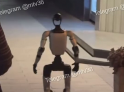 Человекоподобный робот вышел на прогулку по центру Воронежа