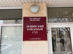 Дело о пикете с антивоенным плакатом получило неожиданную развязку в Воронеже