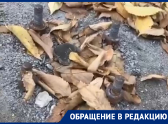 Площадки поменяли, а опасность осталась: обновлённые «Алые паруса» раскритиковали в Воронеже