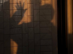 Чем порадует погода воронежцев на грядущей неделе?