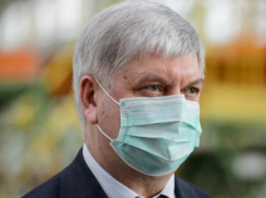 Организаторы праздников и выставок призвали губернатора Гусева снять коронавирусные ограничения 