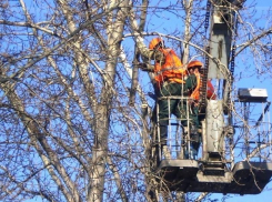 Власти Воронежа на час перекроют улицу III Интернационала