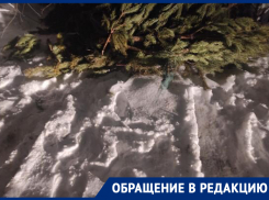 Горькое послевкусие новогоднего бизнеса показали в Воронеже 