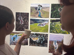 «Точка отсчета»: как итоговая выставка превращается в начало в Воронеже 