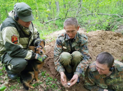 Разыскиваются родственники: останки воронежца с медалью «За Отвагу» нашли у калининградского поселка 