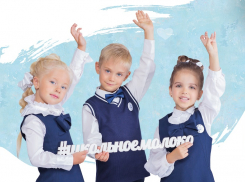 Специалисты рассказали о пользе молока для школьников Воронежской области