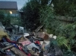 В Воронеже сгорел приют для животных-инвалидов