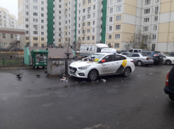 Тошнотворную расправу устроили «Яндекс Такси» в воронежском дворе
