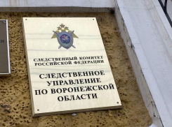 Временный руководитель появился у воронежского управления СКР
