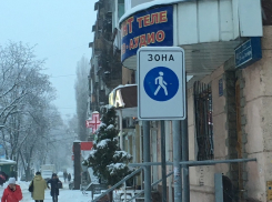 Как хитрый концессионер загоняет воронежцев на платные парковки