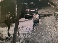 Маленькие вандалы не заметили, что их снимала камера в Воронеже