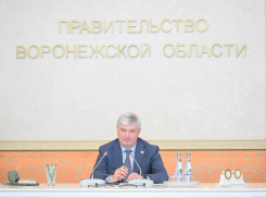 О росте подростковой преступности доложили воронежскому губернатору