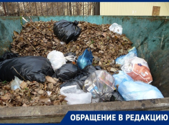 За чужой мусор воронежцы вынуждены платить в два раза больше