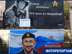 Как выглядит улица, которая может получить новый статус в Воронеже