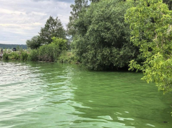 Водохранилище резко позеленело в Воронеже – опубликованы кадры