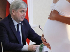 Воронежская облДума законодательно утвердила теорию Гусева о материнстве