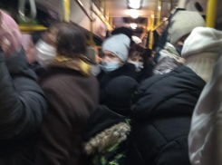 Воронежцы чувствуют себя мясом в комбайне, попадая в городские маршрутки 
