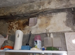 «Это такая форма издевательства?»– в воронежской многоэтажке сгнила стена из-за разрушенного стояка