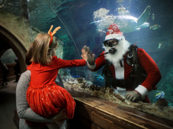 Топ-3 идей для запоминающихся новогодних каникул в Воронеже