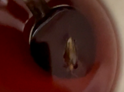 Купающегося в чае таракана сняли в воронежской больнице