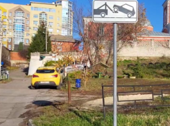 Воронежанка почти перешла на мат, увидев такую парковку 