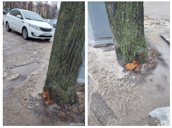 Важное поручение губернатора саботировали в Воронеже