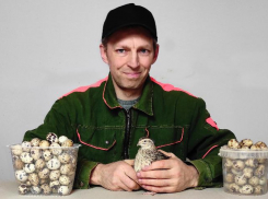 Бизнес на перепелках от одинокого кандидата наук из Подмосковья