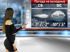 Настоящую весеннюю погоду обещают воронежцам на выходных 