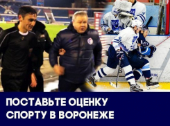 Воронежские площадки оказались в ужасном состоянии, а власти бросили массовый спорт: итоги 2017 года