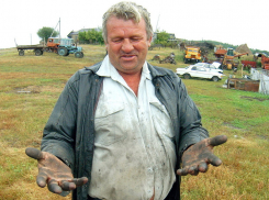 Воронежские чиновники начали мстить фермеру за огласку «коровьего Чернобыля»