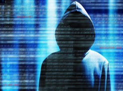 «Вконтакте» оценили способы взлома, предложенные воронежцем
