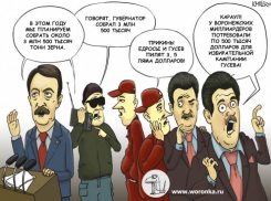 На мультяшном сайте штаба Александра Гусева объяснили, откуда появилась информация о «клубе миллиардеров» и 500 тысячах долларов