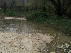 Великий потоп сковал улицы Воронежа