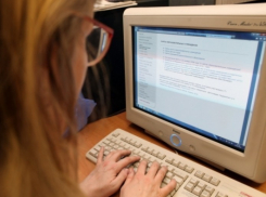 В Воронежской области 10 школ плохо наполняли свои сайты