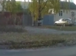 Нецензурные разборки яжематери и таксиста сняли в Воронеже 