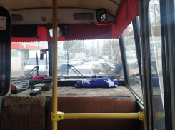 Схема движения двух популярных автобусов изменится в Воронеже