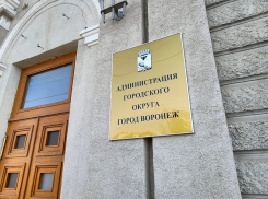 Социологи подтвердили желание воронежцев самостоятельно выбирать мэра 