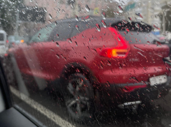 В центре Воронежа случился коллапс из-за отключения электричества