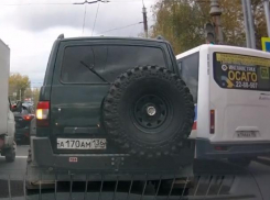 Воронежский маршрутчик показал, почему платные парковки не сделают автобусы популярнее