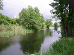 Два участка реки Воронеж сдадут в аренду