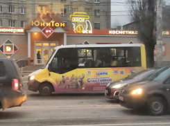 Новый автобусный маршрут свяжет «Цирк» и «Семилукские выселки» в Воронеже 