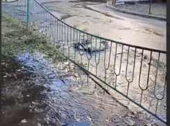 Фонтаны бьют: ручей вырвался на свободу в неожиданном месте Воронежа