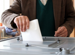 В мэрии рассказали, где воронежцы смогут проголосовать за президента страны