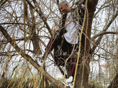 Ради хайпового фото стилист Александр Рогов залез на дерево в шубе